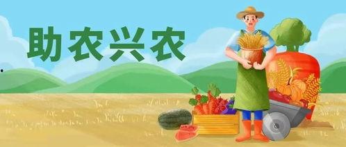 吃瓜之王知乎免费阅读,知乎免费阅读背后的故事  第1张 吃瓜之王知乎免费阅读,知乎免费阅读背后的故事  第1张