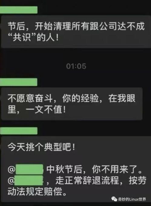 it公司最新爆料,行业变革与创新趋势全解析  第2张 it公司最新爆料,行业变革与创新趋势全解析  第2张