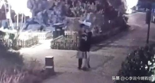 街上免费吃瓜视频,揭秘网络短视频背后的秘密  第2张 街上免费吃瓜视频,揭秘网络短视频背后的秘密  第2张