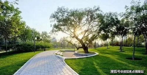 成都公园舆论爆料案例最新,一场网络热议背后的真相与反思  第2张 成都公园舆论爆料案例最新,一场网络热议背后的真相与反思  第2张