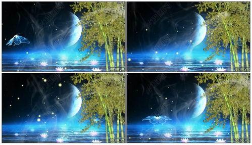 月光爆料最新视频下载  第3张 月光爆料最新视频下载  第3张